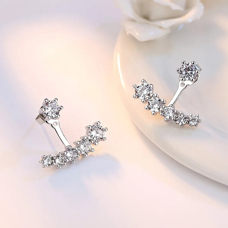 Luxury 925 Sterling Silver Zirconia Double Sided Leaves Stud Earrings