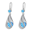 Fine 925 Sterling Silver Luxury Crystal Zircon Earrings Charms Jewelry Gift